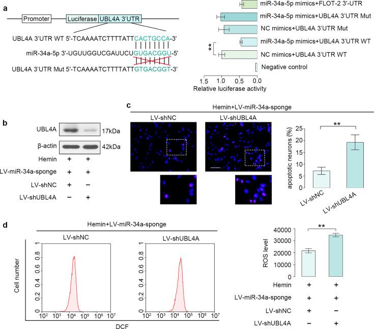 https://cdn.ncbi.nlm.nih.gov/pmc/blobs/1c4d/11534490/7e3163ee1c75/expanim-73-421-g005.jpg