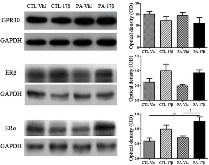 https://cdn.ncbi.nlm.nih.gov/pmc/blobs/1c4e/5900006/857d08066ccc/fphar-09-00335-g002.jpg