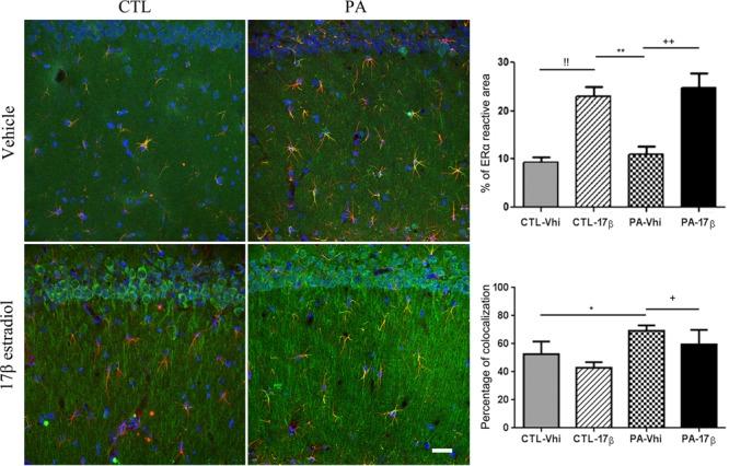 https://cdn.ncbi.nlm.nih.gov/pmc/blobs/1c4e/5900006/d4ba53f4e93a/fphar-09-00335-g003.jpg