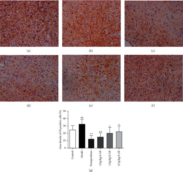 https://cdn.ncbi.nlm.nih.gov/pmc/blobs/1c4f/7685828/6b36530b75cd/ECAM2020-2528617.010.jpg