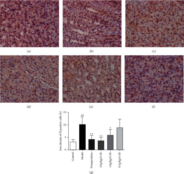 https://cdn.ncbi.nlm.nih.gov/pmc/blobs/1c4f/7685828/c8987a38599d/ECAM2020-2528617.009.jpg