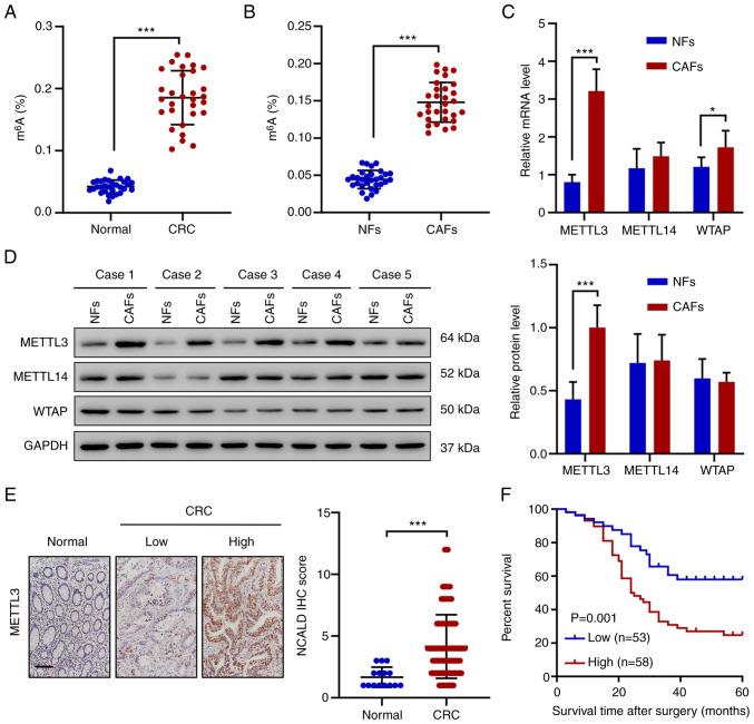 https://cdn.ncbi.nlm.nih.gov/pmc/blobs/1c4f/8759347/257d9d0a7703/IJO-60-02-05304-g00.jpg
