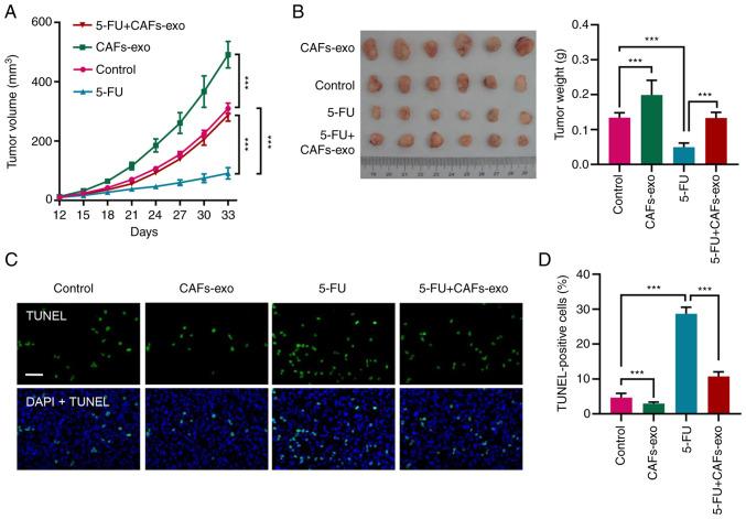 https://cdn.ncbi.nlm.nih.gov/pmc/blobs/1c4f/8759347/38db76610f77/IJO-60-02-05304-g06.jpg