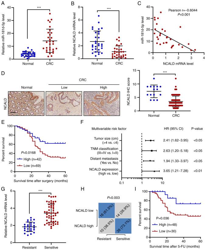 https://cdn.ncbi.nlm.nih.gov/pmc/blobs/1c4f/8759347/91b6874281cf/IJO-60-02-05304-g07.jpg