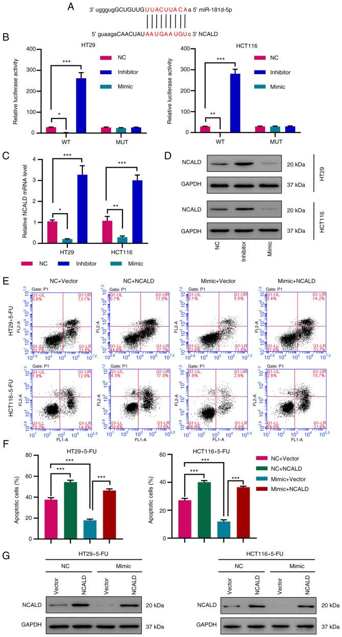 https://cdn.ncbi.nlm.nih.gov/pmc/blobs/1c4f/8759347/b362e2f48122/IJO-60-02-05304-g05.jpg