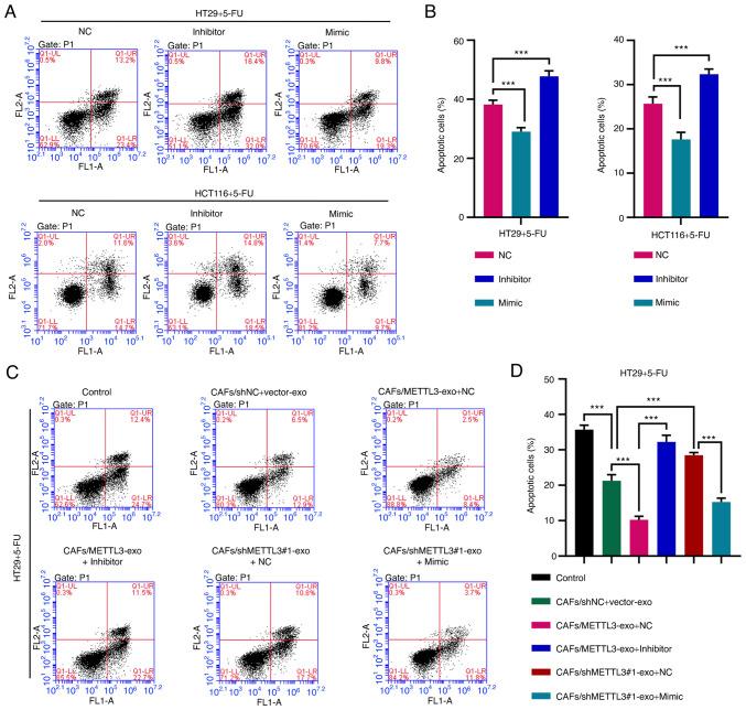 https://cdn.ncbi.nlm.nih.gov/pmc/blobs/1c4f/8759347/efa364cdf063/IJO-60-02-05304-g04.jpg