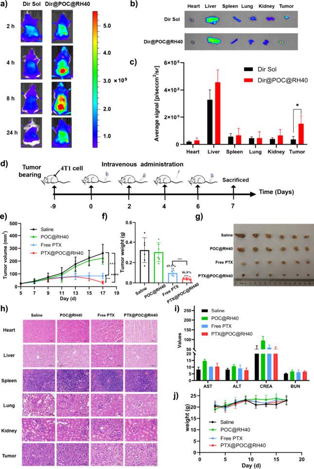 https://cdn.ncbi.nlm.nih.gov/pmc/blobs/1c52/11577425/e09c1c6eea3e/mt4c01123_0006.jpg