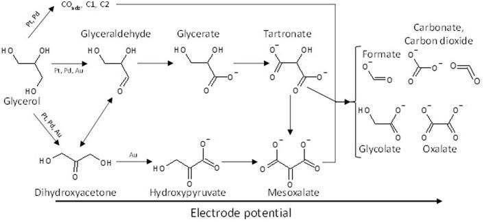 https://cdn.ncbi.nlm.nih.gov/pmc/blobs/1c53/6401611/7b1a67bec612/fchem-07-00100-g0005.jpg