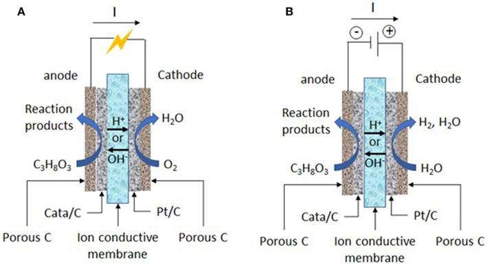 https://cdn.ncbi.nlm.nih.gov/pmc/blobs/1c53/6401611/e61f6226b19a/fchem-07-00100-g0001.jpg