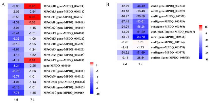 https://cdn.ncbi.nlm.nih.gov/pmc/blobs/1c54/9503372/06a4a59a2480/jof-08-00910-g008.jpg