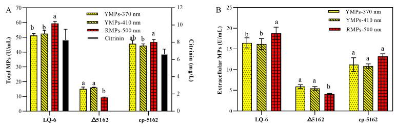 https://cdn.ncbi.nlm.nih.gov/pmc/blobs/1c54/9503372/648239ea4141/jof-08-00910-g004.jpg