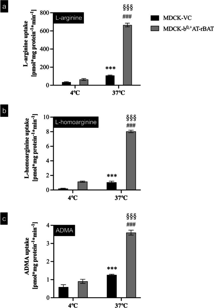 https://cdn.ncbi.nlm.nih.gov/pmc/blobs/1c55/11978698/46d3a164e950/210_2024_3510_Fig5_HTML.jpg