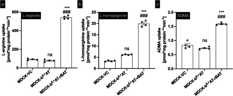https://cdn.ncbi.nlm.nih.gov/pmc/blobs/1c55/11978698/e9afdb49e653/210_2024_3510_Fig2_HTML.jpg