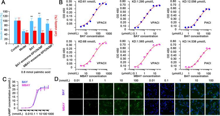 https://cdn.ncbi.nlm.nih.gov/pmc/blobs/1c55/12034843/0a7b261a1f96/DDDT-19-3103-g0004.jpg