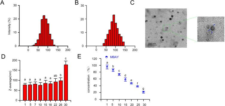 https://cdn.ncbi.nlm.nih.gov/pmc/blobs/1c55/12034843/28714b481f59/DDDT-19-3103-g0002.jpg