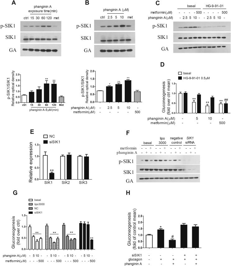 https://cdn.ncbi.nlm.nih.gov/pmc/blobs/1c58/7381706/6203967f9c60/gr2.jpg