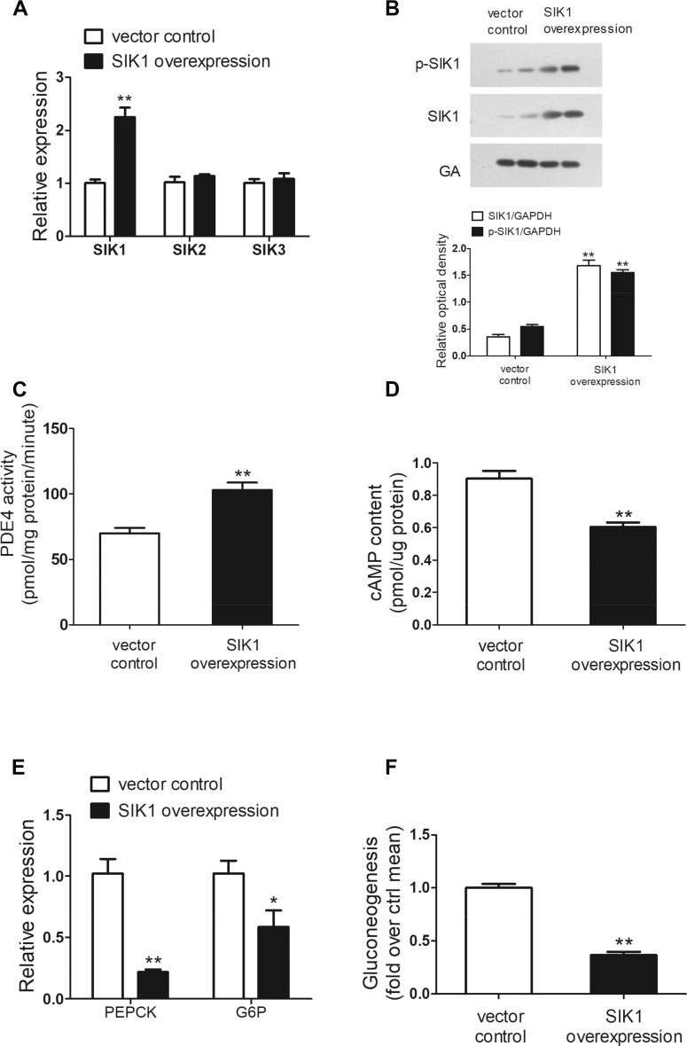 https://cdn.ncbi.nlm.nih.gov/pmc/blobs/1c58/7381706/b3d9c114ea9a/gr6.jpg