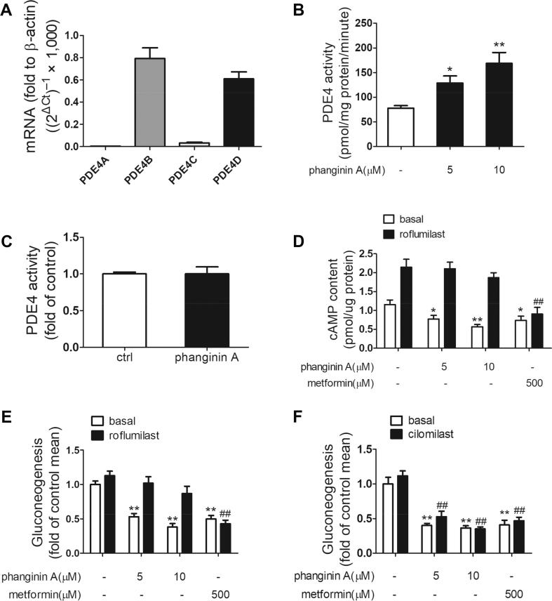 https://cdn.ncbi.nlm.nih.gov/pmc/blobs/1c58/7381706/d5f07d0b5239/gr3.jpg