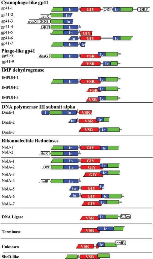 https://cdn.ncbi.nlm.nih.gov/pmc/blobs/1c5a/2677866/a26a26939b37/gkp095f1.jpg