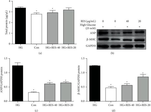 https://cdn.ncbi.nlm.nih.gov/pmc/blobs/1c5a/8896917/b493e5d4d7a3/ECAM2022-7781910.002.jpg