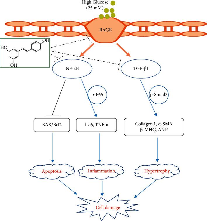 https://cdn.ncbi.nlm.nih.gov/pmc/blobs/1c5a/8896917/f84b6bb73a15/ECAM2022-7781910.007.jpg