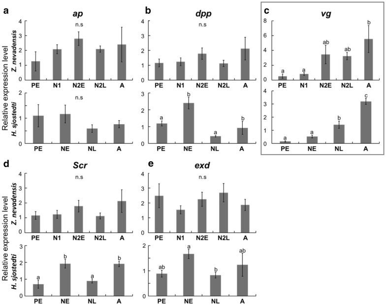 https://cdn.ncbi.nlm.nih.gov/pmc/blobs/1c5b/6521406/818f18fd7b92/13227_2019_123_Fig4_HTML.jpg