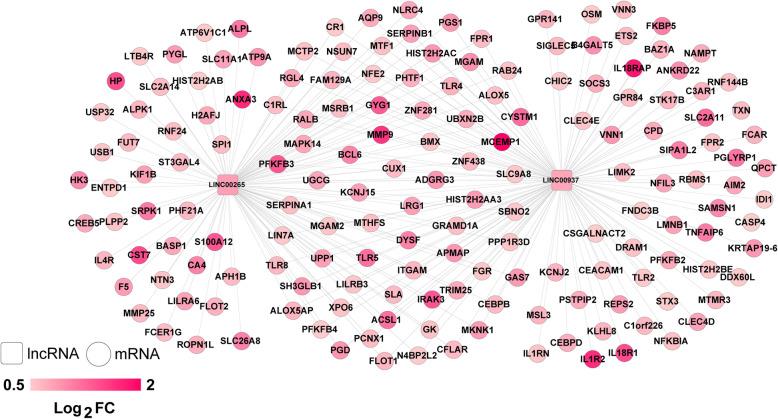 https://cdn.ncbi.nlm.nih.gov/pmc/blobs/1c5b/8120715/a89a11d2ce6d/12883_2021_2156_Fig5_HTML.jpg