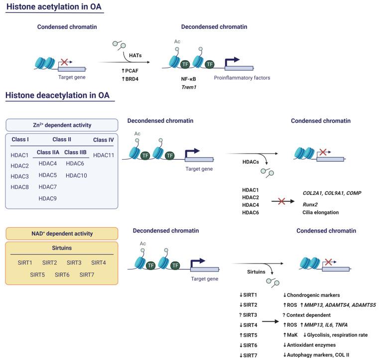 https://cdn.ncbi.nlm.nih.gov/pmc/blobs/1c5b/9964205/b18540d8d859/pharmaceuticals-16-00156-g004.jpg
