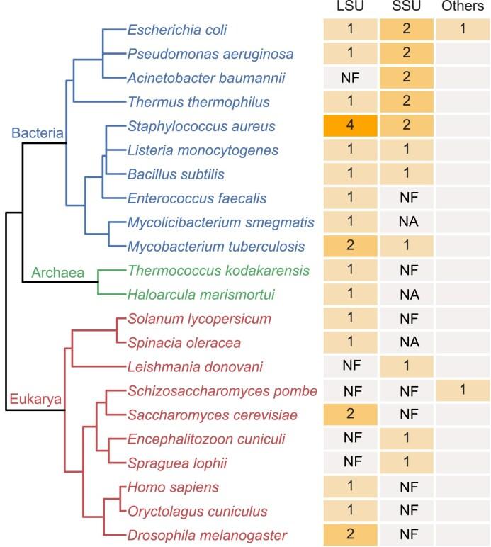 https://cdn.ncbi.nlm.nih.gov/pmc/blobs/1c5d/12282950/918d38be9a4a/gkaf575fig3.jpg