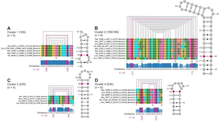https://cdn.ncbi.nlm.nih.gov/pmc/blobs/1c5d/12282950/c1ca26fe092b/gkaf575fig8.jpg