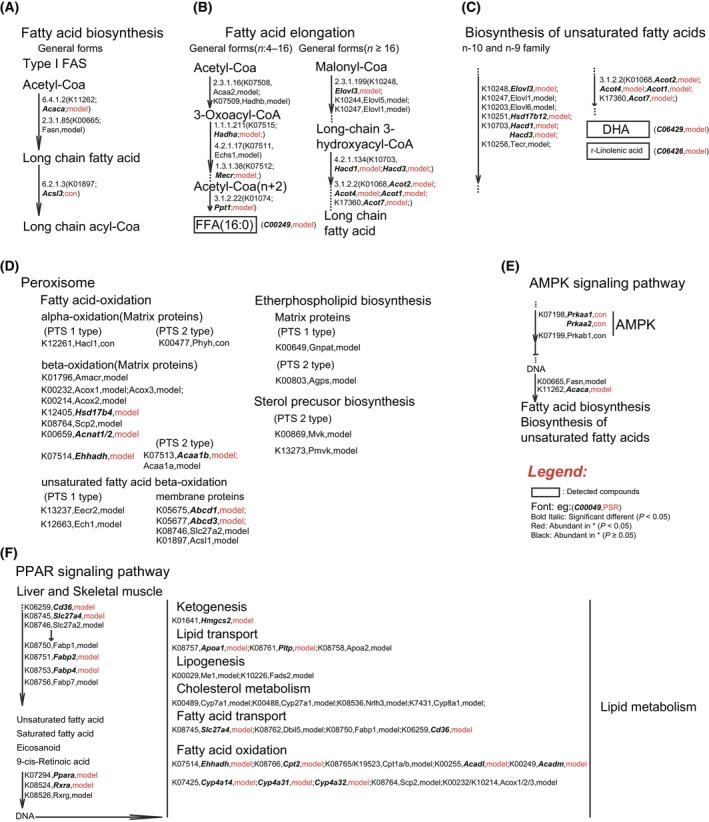 https://cdn.ncbi.nlm.nih.gov/pmc/blobs/1c5e/11073502/5e2d3b3fe7fe/FEB4-14-771-g003.jpg