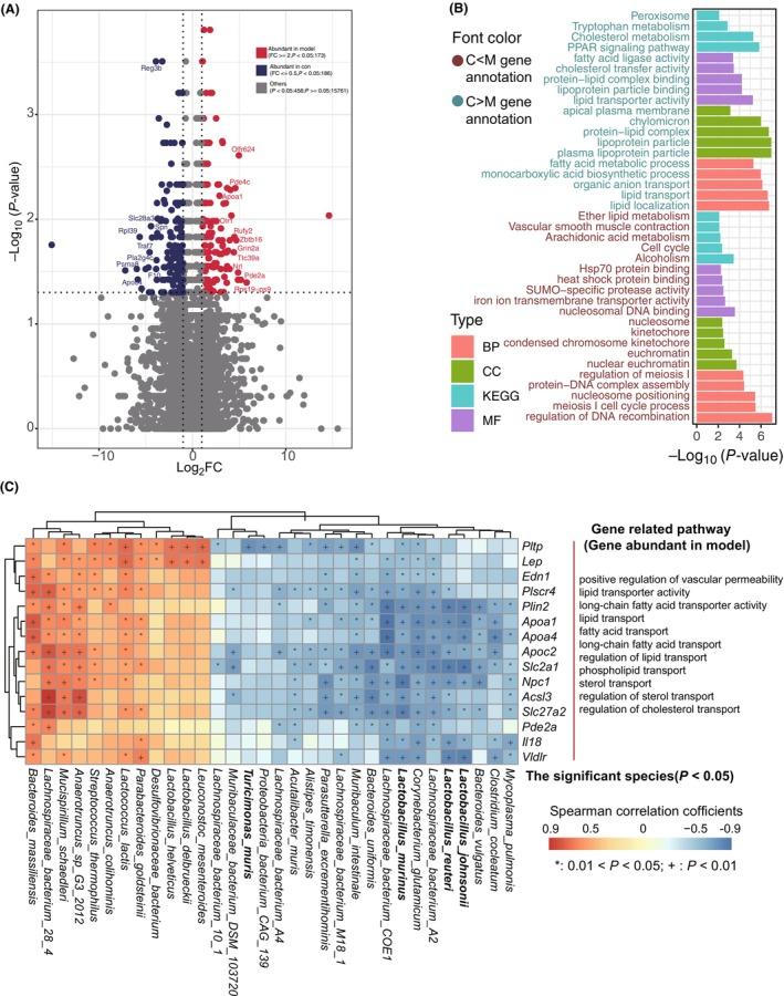 https://cdn.ncbi.nlm.nih.gov/pmc/blobs/1c5e/11073502/7fd0f0312c0b/FEB4-14-771-g006.jpg