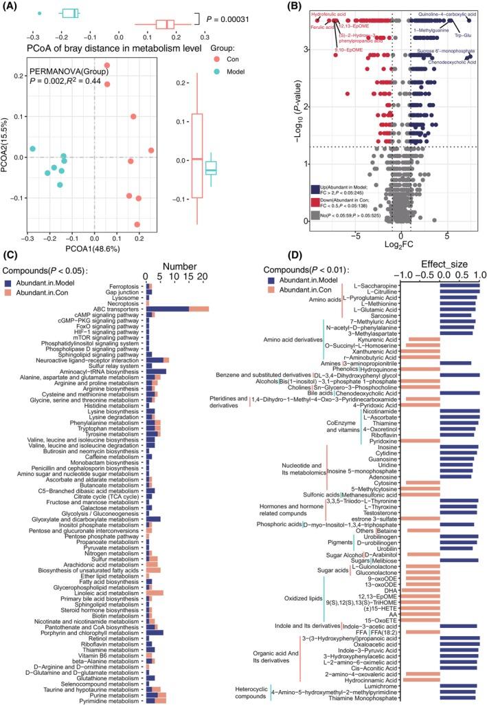 https://cdn.ncbi.nlm.nih.gov/pmc/blobs/1c5e/11073502/b1b2d7036623/FEB4-14-771-g007.jpg