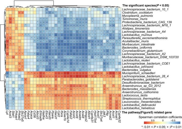 https://cdn.ncbi.nlm.nih.gov/pmc/blobs/1c5e/11073502/c1b40ef61f19/FEB4-14-771-g001.jpg