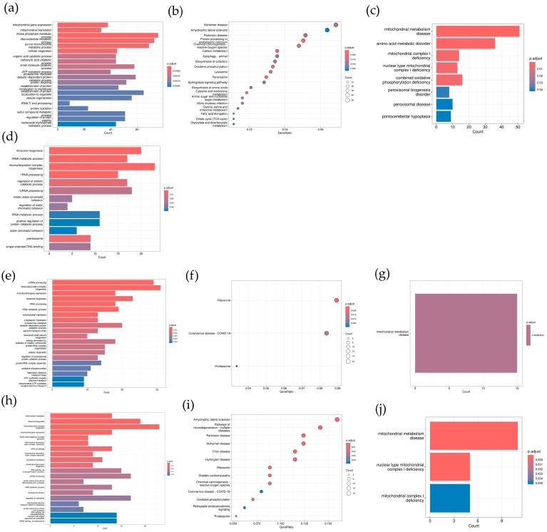 https://cdn.ncbi.nlm.nih.gov/pmc/blobs/1c5e/11280914/218942faf8c9/toxics-12-00516-g005.jpg