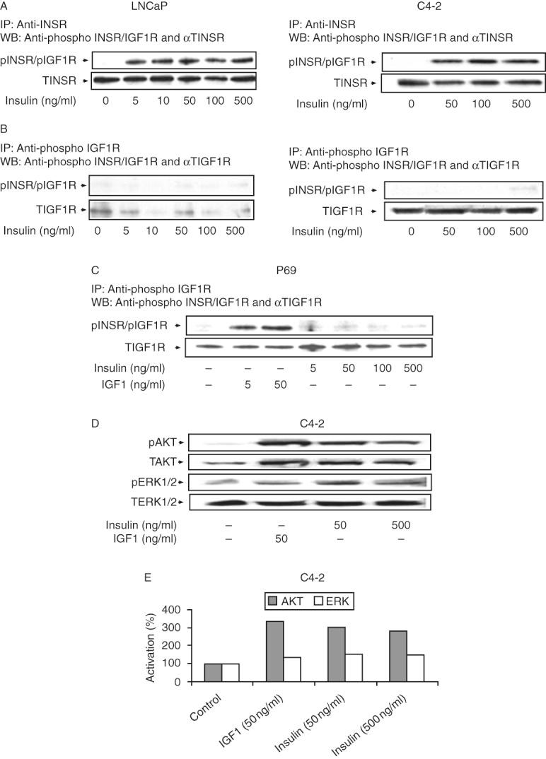 https://cdn.ncbi.nlm.nih.gov/pmc/blobs/1c62/3938039/2db0ba6d0ef0/ec-03-24-g004.jpg