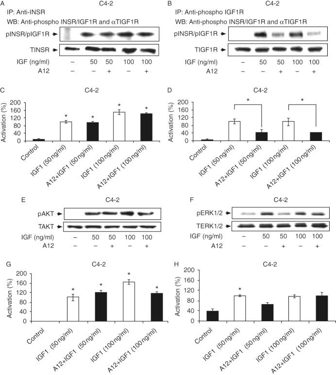 https://cdn.ncbi.nlm.nih.gov/pmc/blobs/1c62/3938039/31fe41609136/ec-03-24-g006.jpg