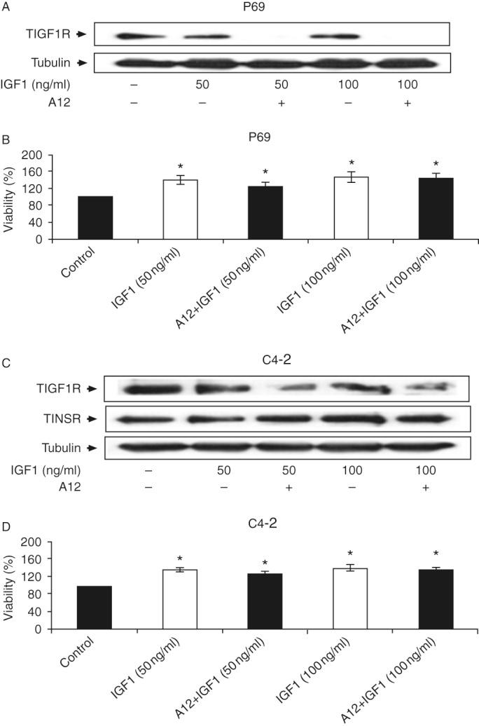 https://cdn.ncbi.nlm.nih.gov/pmc/blobs/1c62/3938039/e51ecb0d7f46/ec-03-24-g008.jpg
