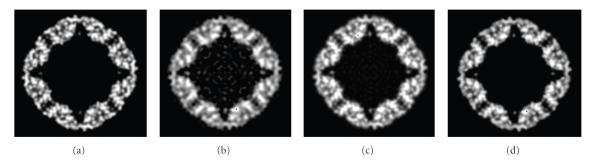 https://cdn.ncbi.nlm.nih.gov/pmc/blobs/1c63/2817395/76211932873a/IJBI2010-195274.005.jpg