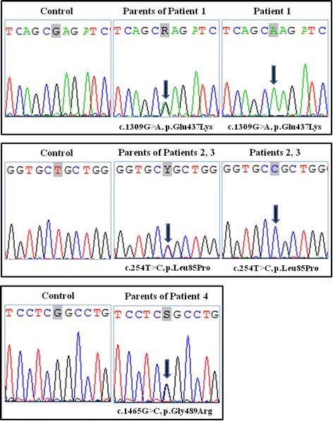 https://cdn.ncbi.nlm.nih.gov/pmc/blobs/1c63/4412100/2c94d660281e/12881_2014_122_Fig3_HTML.jpg