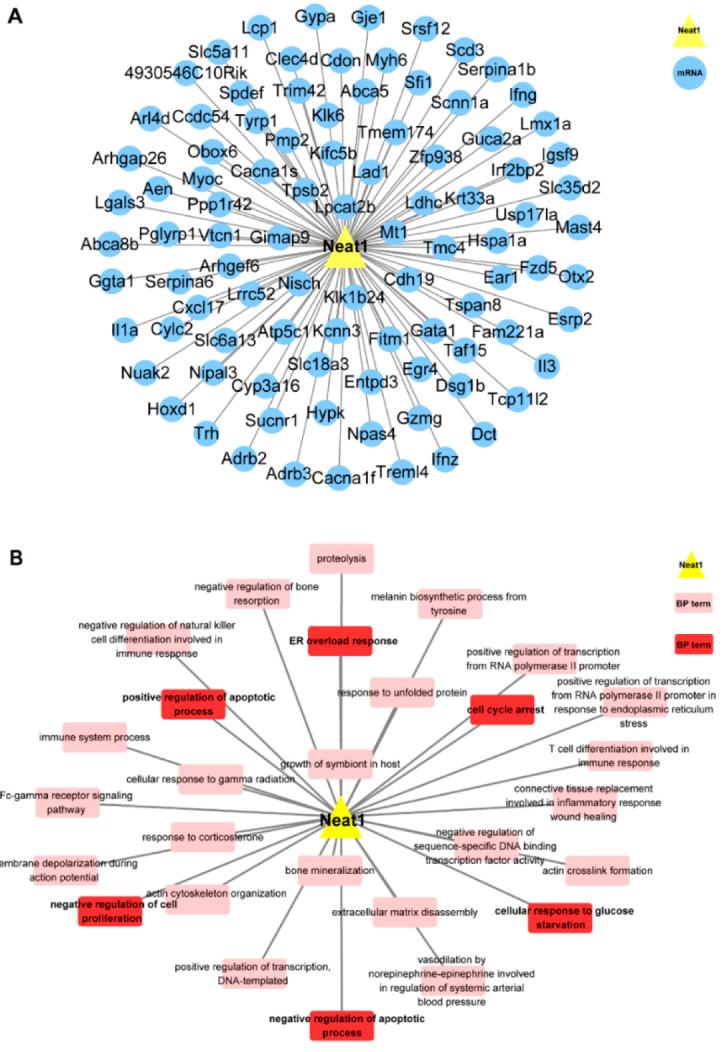https://cdn.ncbi.nlm.nih.gov/pmc/blobs/1c65/9657978/b90eb883142e/ijms-23-12891-g003.jpg