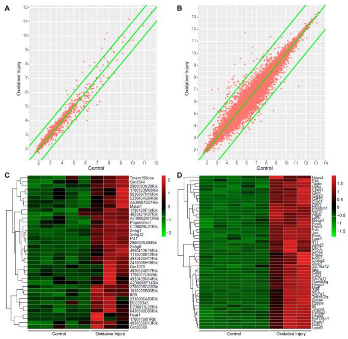 https://cdn.ncbi.nlm.nih.gov/pmc/blobs/1c65/9657978/d4de2909cce4/ijms-23-12891-g001.jpg