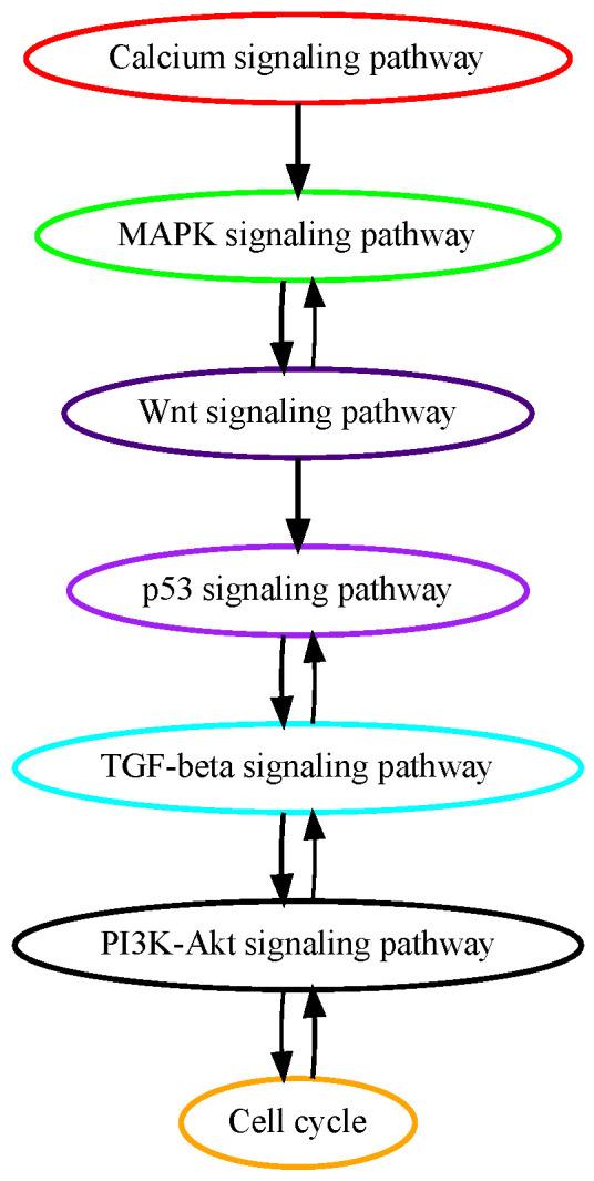 https://cdn.ncbi.nlm.nih.gov/pmc/blobs/1c67/11240401/7f9b6582cc91/cancers-16-02488-g003.jpg