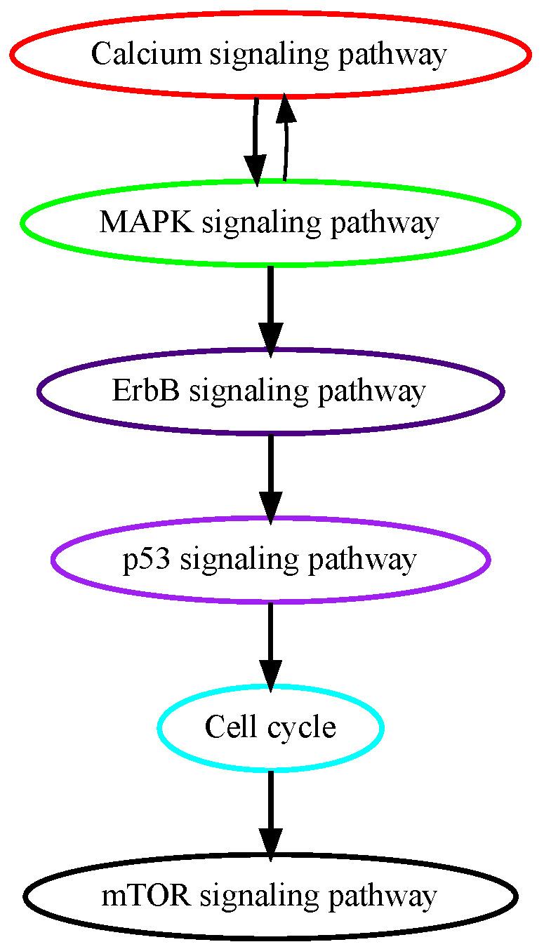 https://cdn.ncbi.nlm.nih.gov/pmc/blobs/1c67/11240401/80ec3a5b0218/cancers-16-02488-g004.jpg