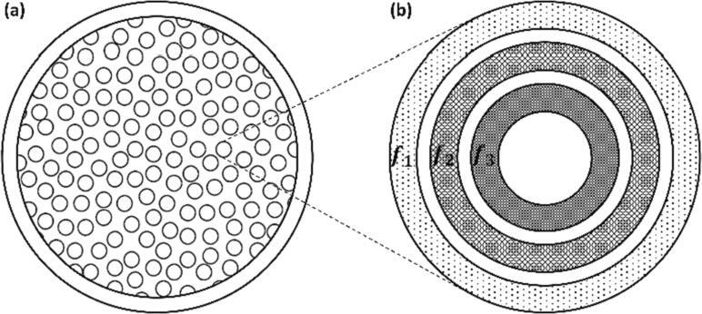 https://cdn.ncbi.nlm.nih.gov/pmc/blobs/1c68/10543167/d5fd09d3c511/gr7.jpg