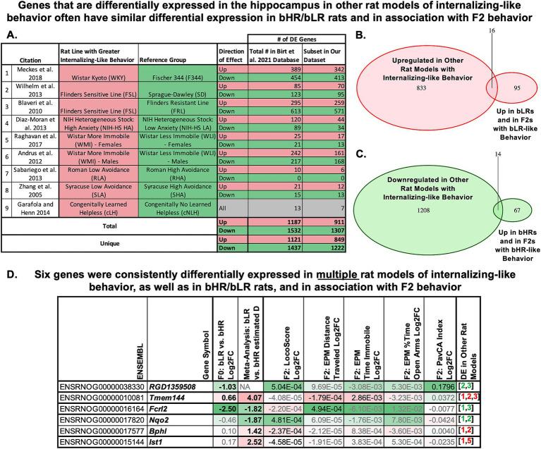 https://cdn.ncbi.nlm.nih.gov/pmc/blobs/1c68/11913853/c15d43798960/fnmol-18-1469467-g007.jpg