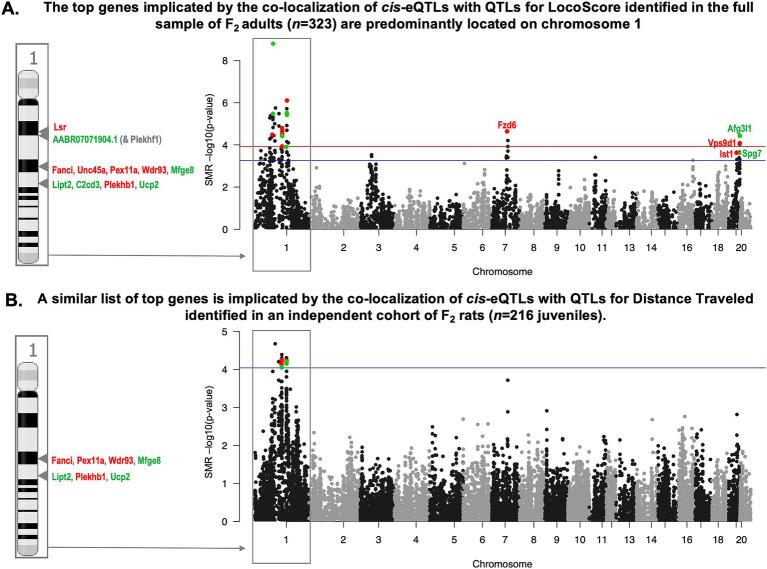 https://cdn.ncbi.nlm.nih.gov/pmc/blobs/1c68/11913853/f2baeccdbc25/fnmol-18-1469467-g009.jpg