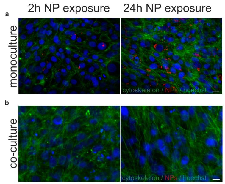 https://cdn.ncbi.nlm.nih.gov/pmc/blobs/1c68/7915594/585685362528/ijms-22-01657-g0A2.jpg