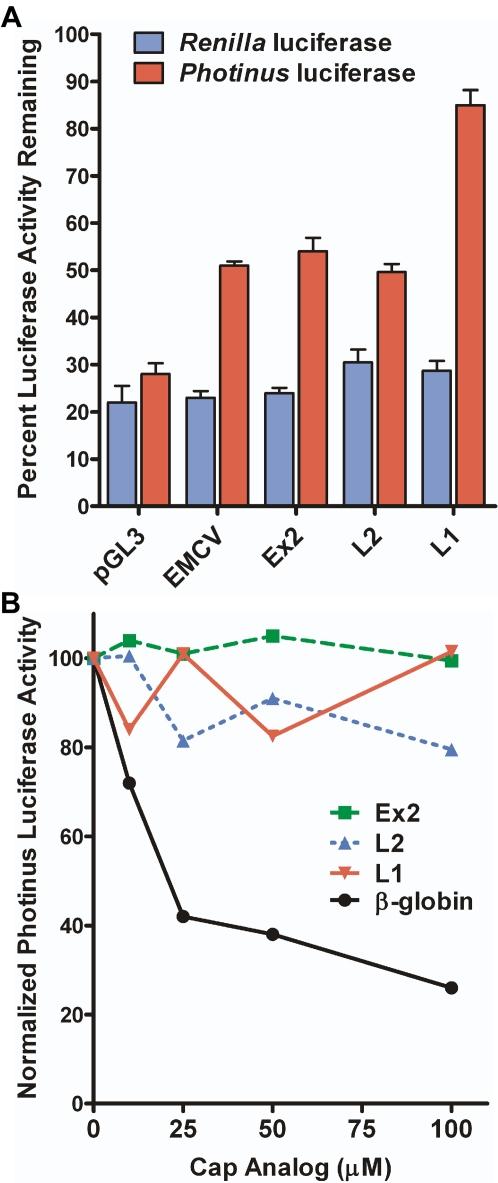 https://cdn.ncbi.nlm.nih.gov/pmc/blobs/1c6b/2531235/ecbd541ac6cb/pone.0003242.g005.jpg