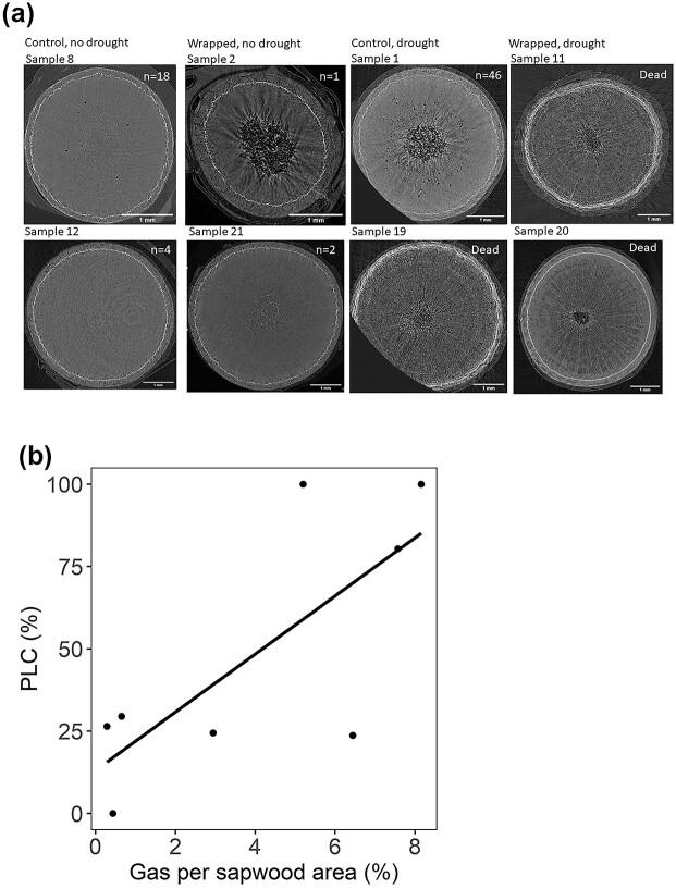 https://cdn.ncbi.nlm.nih.gov/pmc/blobs/1c6d/10918054/463485df7ea2/tpae013f6.jpg